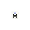 Logo Magnetic Lapel Pin • $1