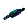 Fanny Pack • $0